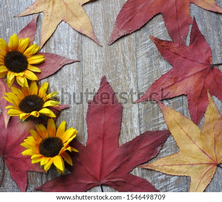 Beautiful autumn leaves and sunflower flowers on wooden background