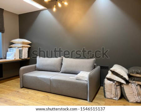 stylish sofa and bedding at home