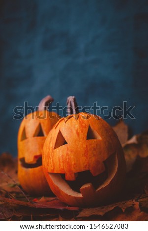 halloween pumpkins have fun in the studio