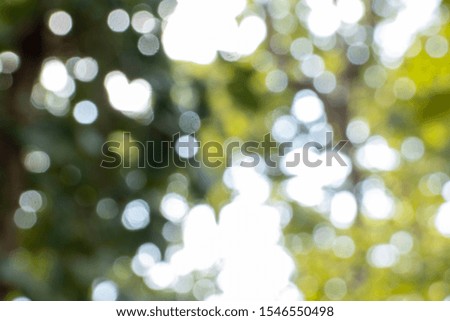 Backdrop the distribution of light abstract background art colors, bokeh and blur.