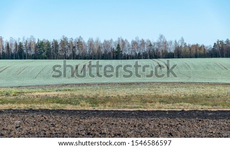 stripe pattern, colored background, picture with grass, trees, earth and sky colors