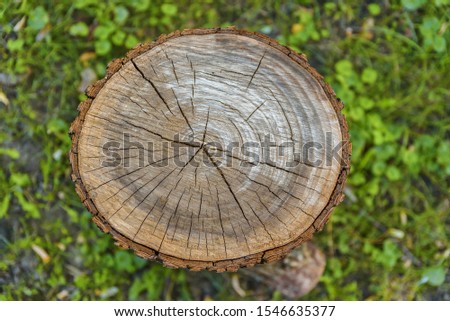 Wooden plank cut rustic pattern with green grass background