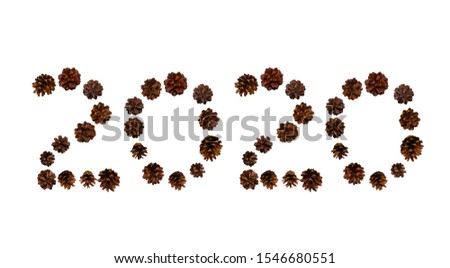 Symbol of the new year from Christmas cones and branches, holiday numbers isolated on white background