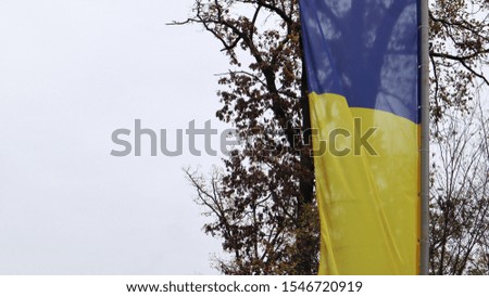 Ukrainian flag waving on the masts in a forest park. The wind blows and the flag flies in the air. In the background beautiful tall trees