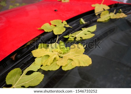Autumn mood. Fallen yellow leaves on windshield and car wipers, of parked red car. Autumn concept. Close-up.