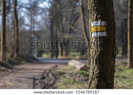 yellow trail mark on tree bark in woods with blurred background