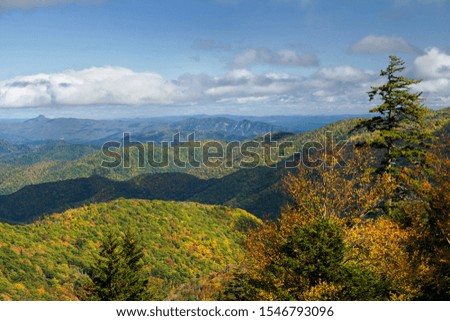 The autumn colors are striking at Ridge Junction on Blue Ridge Parkway in North Carolina, USA.