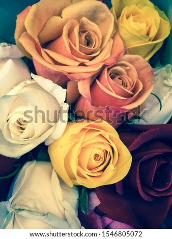 Bouquet of fresh white, yellow and red wedding roses, flower bright background. Sign of love. Nostalgic tone.