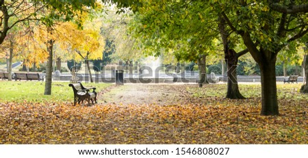 Autumn park with dropping leaves scene