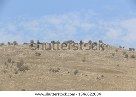 Steep hill with dry grass and a few trees with in a landscape under a blue cloudy sky in autumn