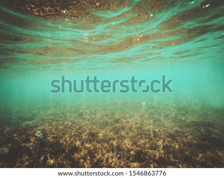 Underwater photo of summer time in Egipt. Free space for your decoration. 