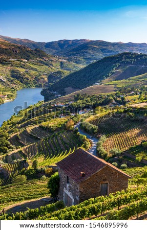 View over the Douro valley in Mesao Frio, Portugal. Royalty-Free Stock Photo #1546895996