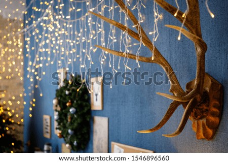 Huge red deer antlers on an oak shield hang on the wall. Christmas and New Year holidays composition.