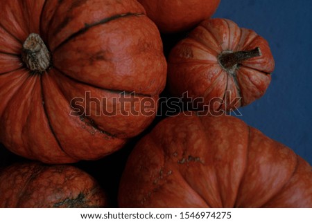 Orange pumpkins close-up, top view, selective focus. Template fall harvest thanksgiving halloween anniversary invitation cards. Dark background, photo in dark processing