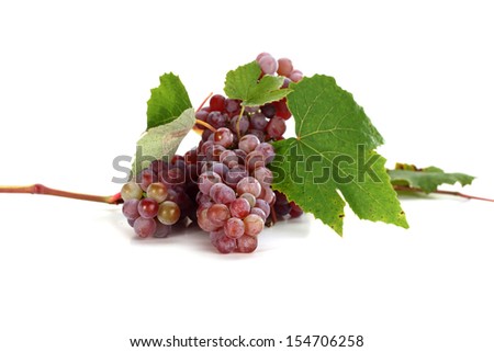 fresh grapes on white 
