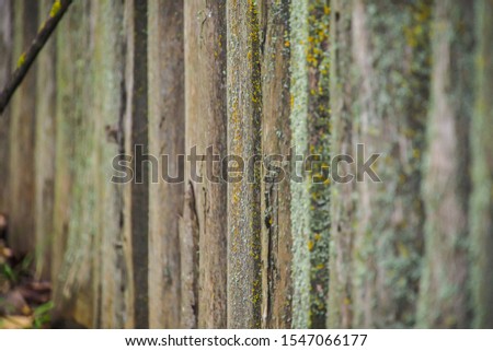 Old wooden fence with moss