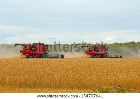 Red Harvesters  for harvesting wheat on  background field and sky, Russia.