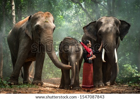 The cuteness of 3 nice elephants that the local villagers feeds them for show and tourist can take pictures with them when come to visit the elephants at the village. Also provide local dress models.