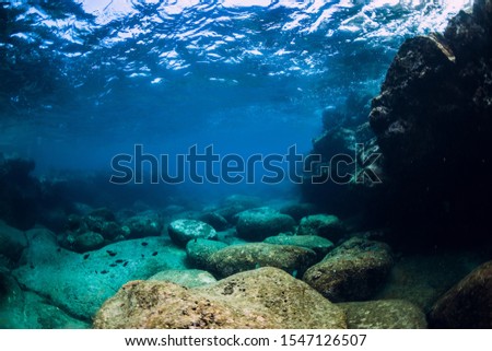 Tranquil underwater scene with copy space. Tropical transparent ocean with rock and stones