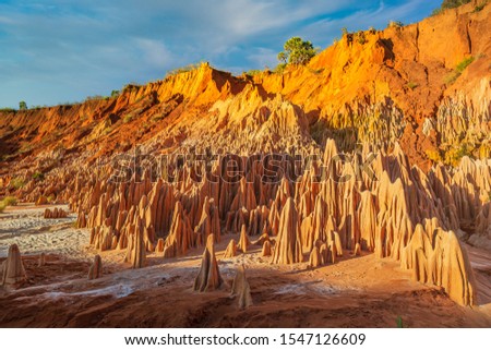 The amazing and unique Red Tsingys in Madagascar Royalty-Free Stock Photo #1547126609