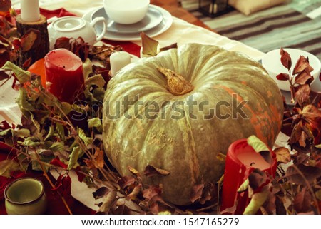 Beautiful autumn table decor with green pumpkin