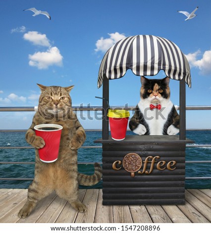 The beige cat buys a plastic cup of coffee at the small food booth in the wooden seafront.