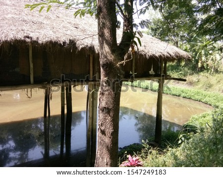 A hut on the water 
