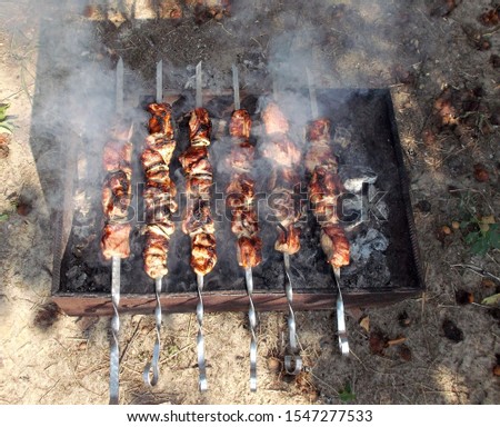 Fragrant smoke of fruit logs, grilled kebab on coals in the grill. Photo taken on:  July 31 Sunday, 2016