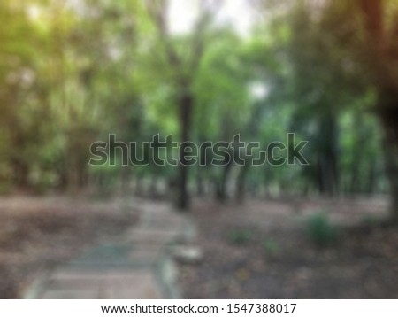 Blurred Defocused and Bokeh background with sunset. Image showing about people jogging road, running and walking street, trees in public natural exercise park.