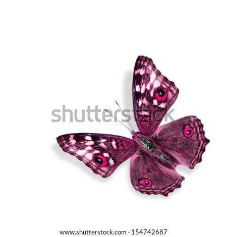 Red Butterfly Flying (Grey Pansy) isolated on white background