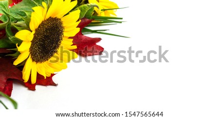Flowers and leaves. Autumn background. Happy birthday concept