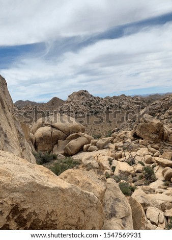 Beautiful pictures from Joshua Tree National Park
