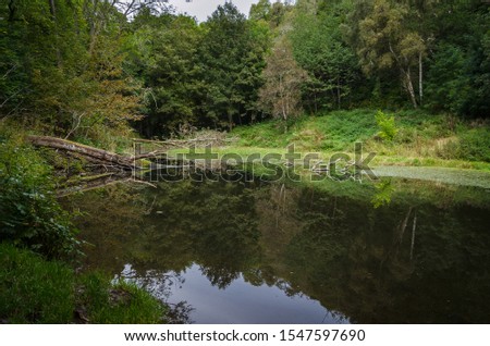 A lake with quiet water reflecting the natural environment as a mirror in the Fairy Glen Falls, Highlands, Rosemarkie, Scotland, United Kingdom