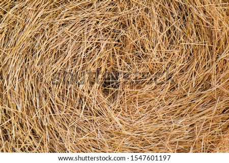 hay, straw, dry background for design, texture. Funnel of dry grass.