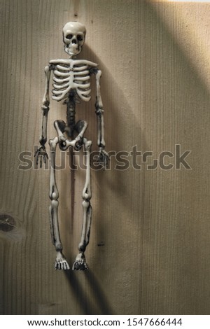 skeleton figurine on wooden background