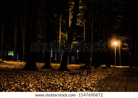 Autumn night park. Light of lanterns in the night park. Background. Texture.