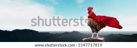 super hero - brown rooster on the mountain Royalty-Free Stock Photo #1547717819