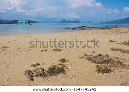 beach on the shores of the Andaman Sea, with the islands with its calcareous mountains of the Phang Nga bay in the background. Thailand