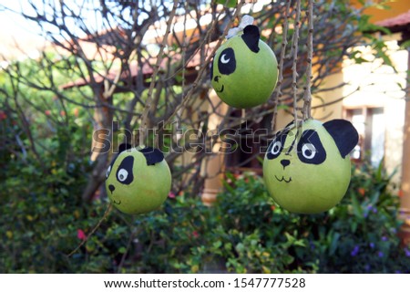 Funny faces like a panda were drawn on the fruits of a tree