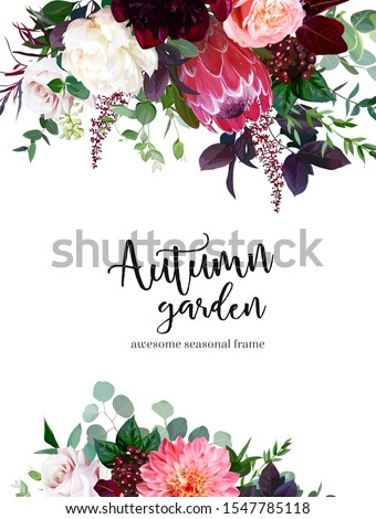 Luxury fall flowers vector design frame. Protea flower, peachy coral garden rose, burgundy red peony, ranunculus, astilbe, greenery and berry. Autumn wedding bunch of flowers. Isolated and editable Royalty-Free Stock Photo #1547785118