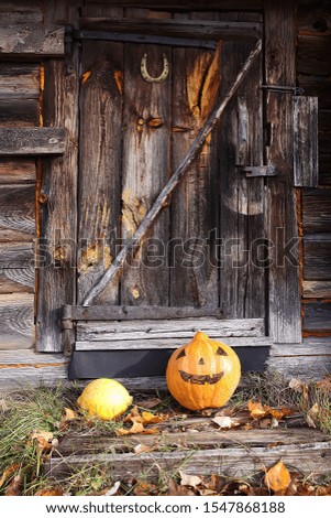 Funny Halloween pumpkin in autumn park with fall leaves on old weathered wooden bathhouse background.