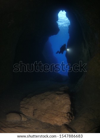 scuba diver exploring caves and fish underwater