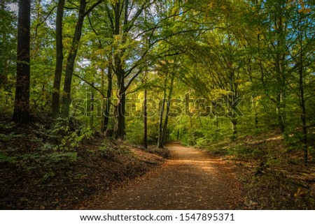 Walk on the "Mühlenweg" ("Mill Path") through the autumnal "Tegeler Forst" ("Tegel Forest") in Berlin Royalty-Free Stock Photo #1547895371