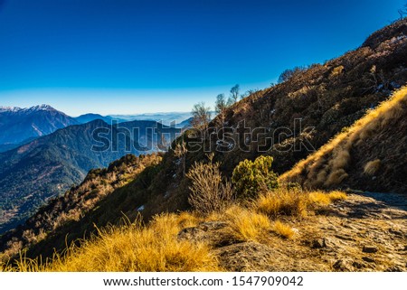 This is the view of Himalayas alpine landscape from Khalia top trek trail at Munsiyari. Khalia top is at an altitude of 3500m himalayan region of Kumaon, Uttarakhand, India. Royalty-Free Stock Photo #1547909042