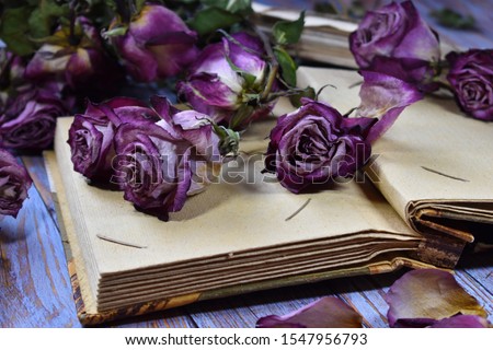 Nostalgic vintage mood background. Dry decorative purple rosebuds and old letters. Withered roses on an album close-up. Dying flowers, old letters and a photo album on the table. Memories of  past.