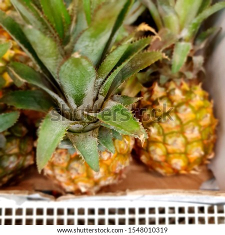 Macro photo food product tropical fruit pineapple. Texture green juicy fresh fruit mini  pineapple.