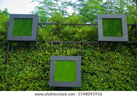 Square frame,A green frame with a black border in front of the Hokkien tea.Black border and green leaves  background