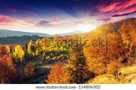 Majestic morning mountain landscape with colorful forest. Dramatic overcast sky. Carpathian, Ukraine, Europe. Beauty world.