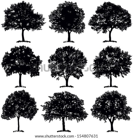 Tree collection - vector silhouette illustration 