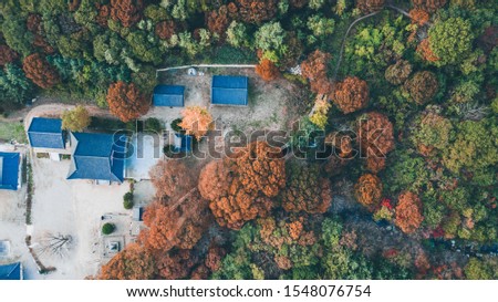 Looking down from the sky at the scenery with autumn foliage, forests and temples.